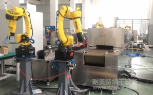 NMT-ZP-108 疫苗玻璃瓶小型預熱加固化自動(dòng)裝配線(xiàn)(蘇州埃克森特)